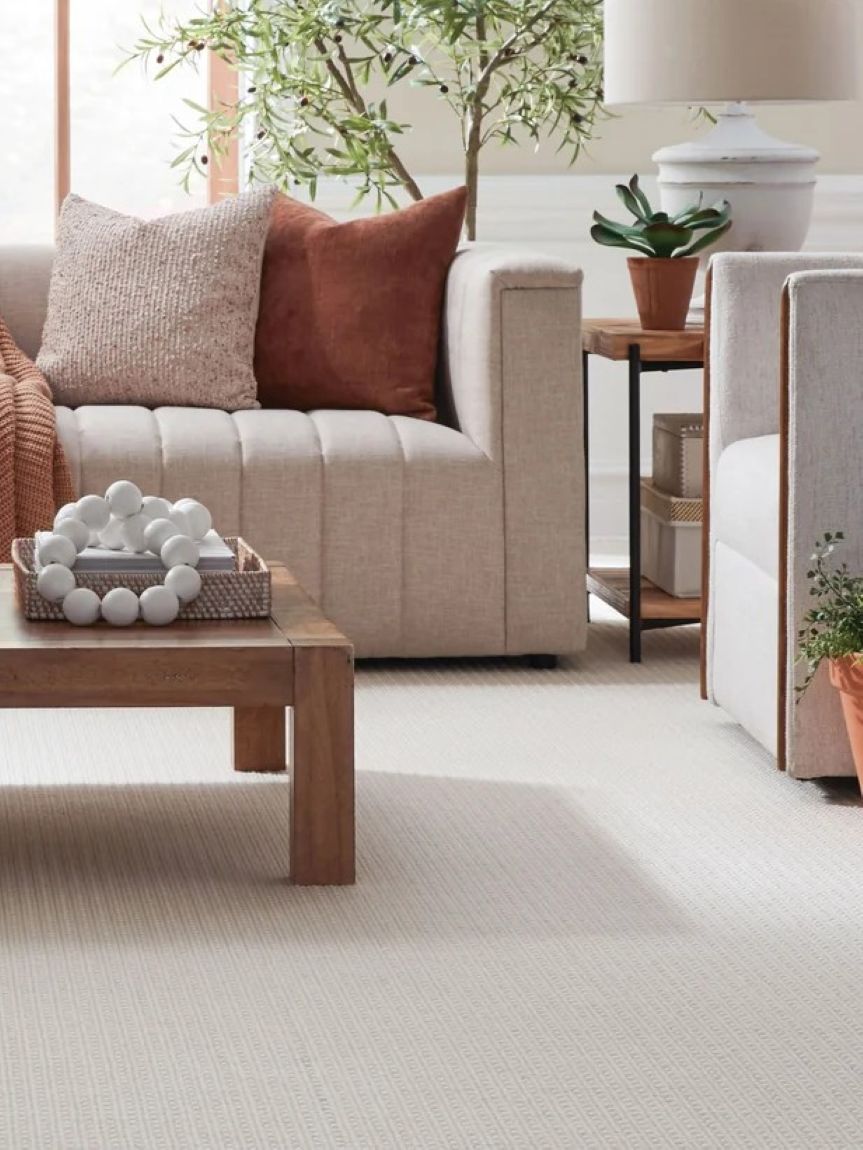 Beautiful area rug in light room